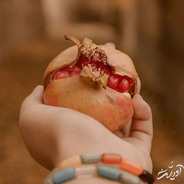 عکس پروفایل یلدا عکس شب یلدا با کیفیت بالا عکس شب یلدا خانوادگی عکس شب یلدا دونفره عکس برای شب یلدا دخترانه عکس شب یلدا 1402 عکس شب یلدا عاشقانه عکس پروفایل یلدا u;s \v,thdg dgnh